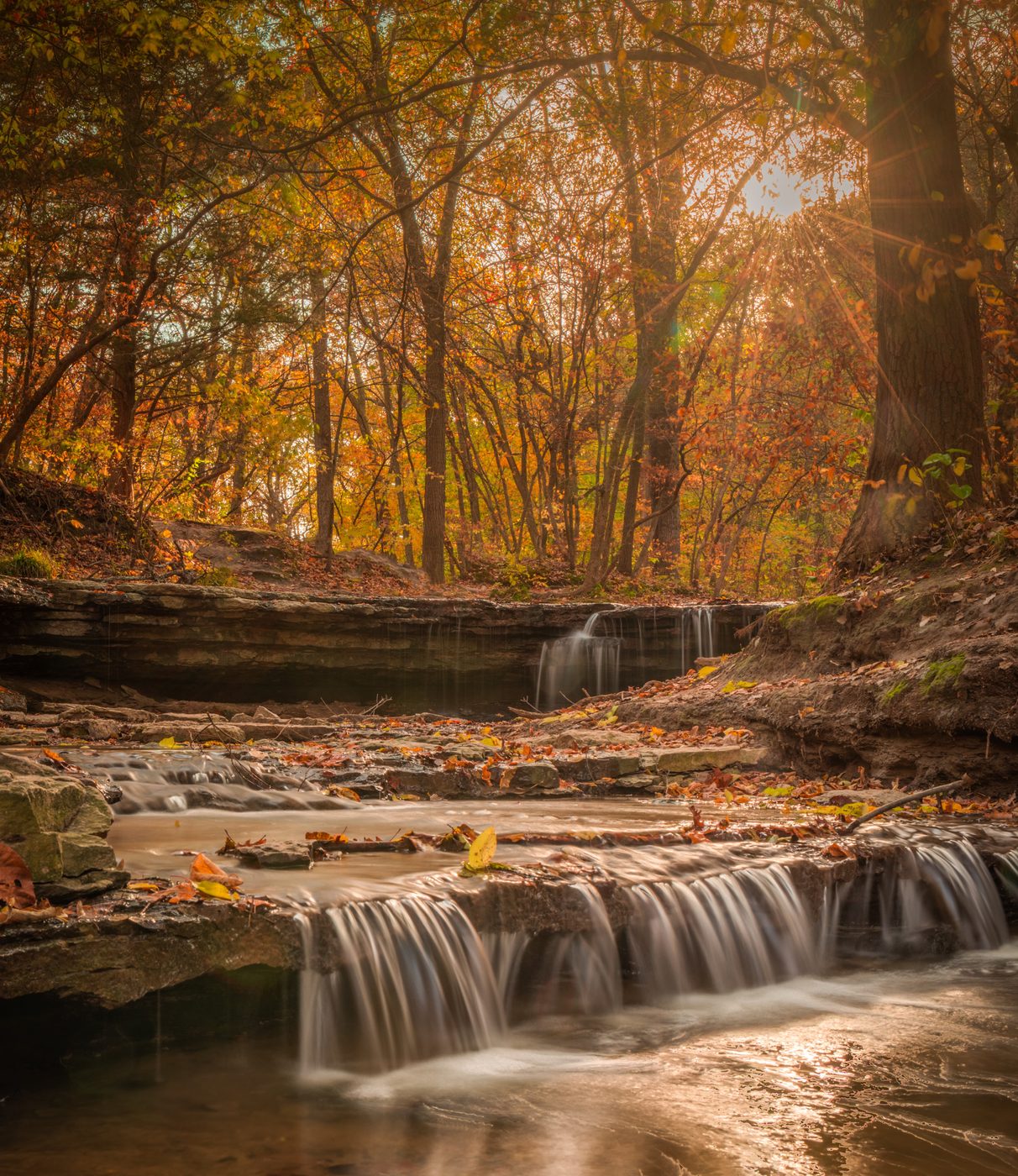 Landscapes