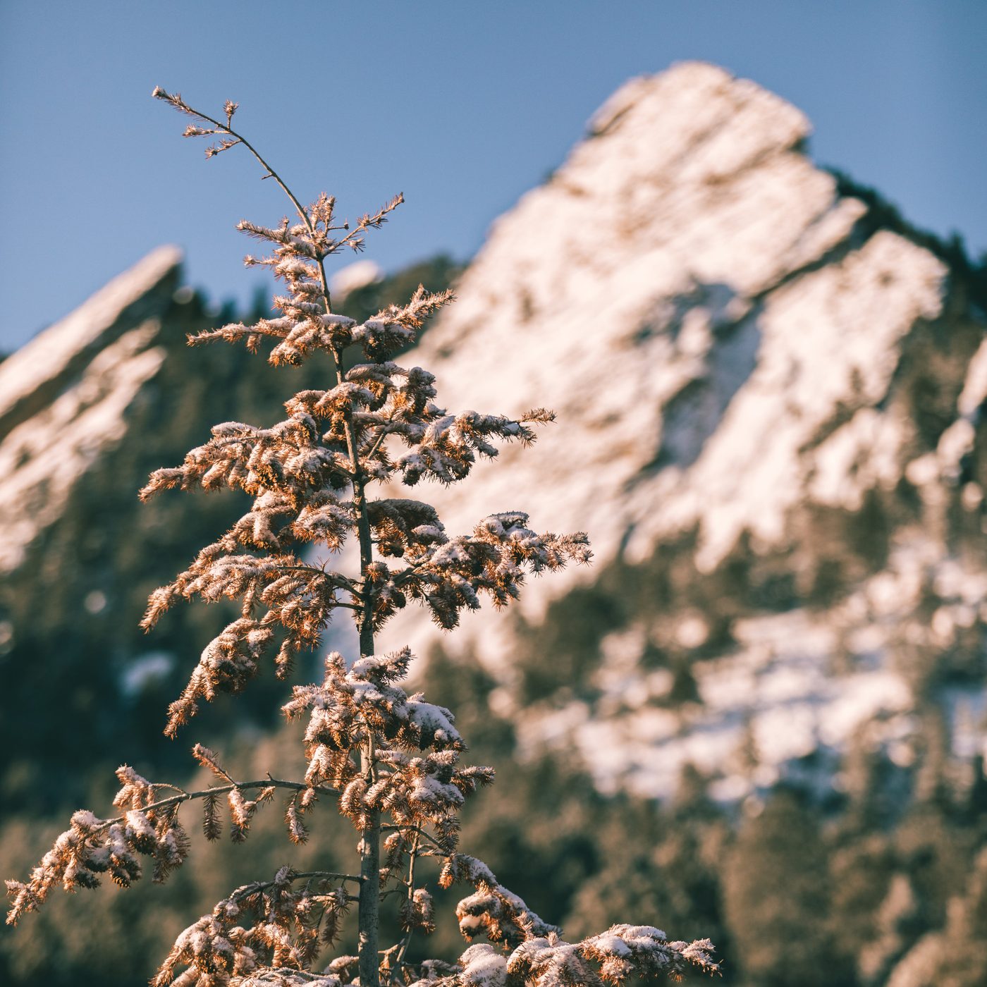 Landscapes