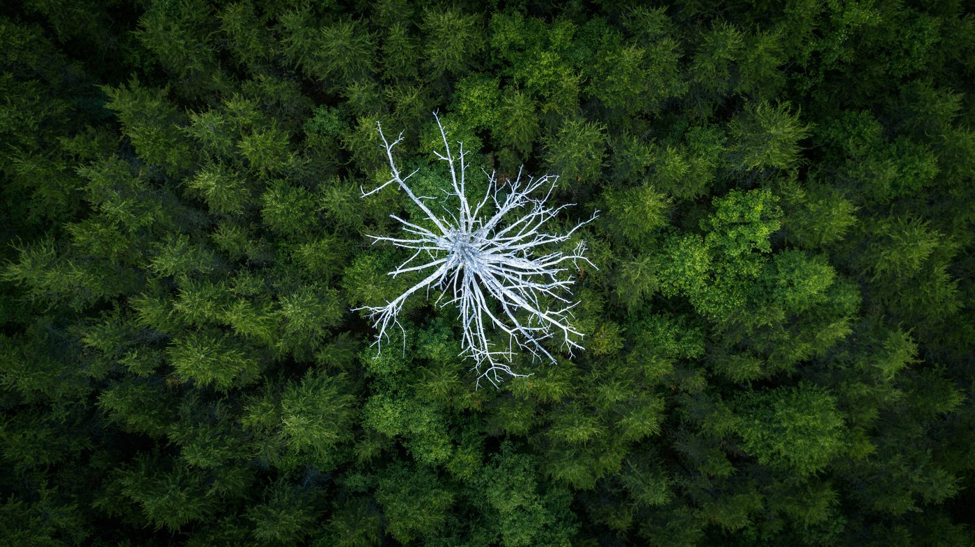 Aerial landscape by Joe Willman